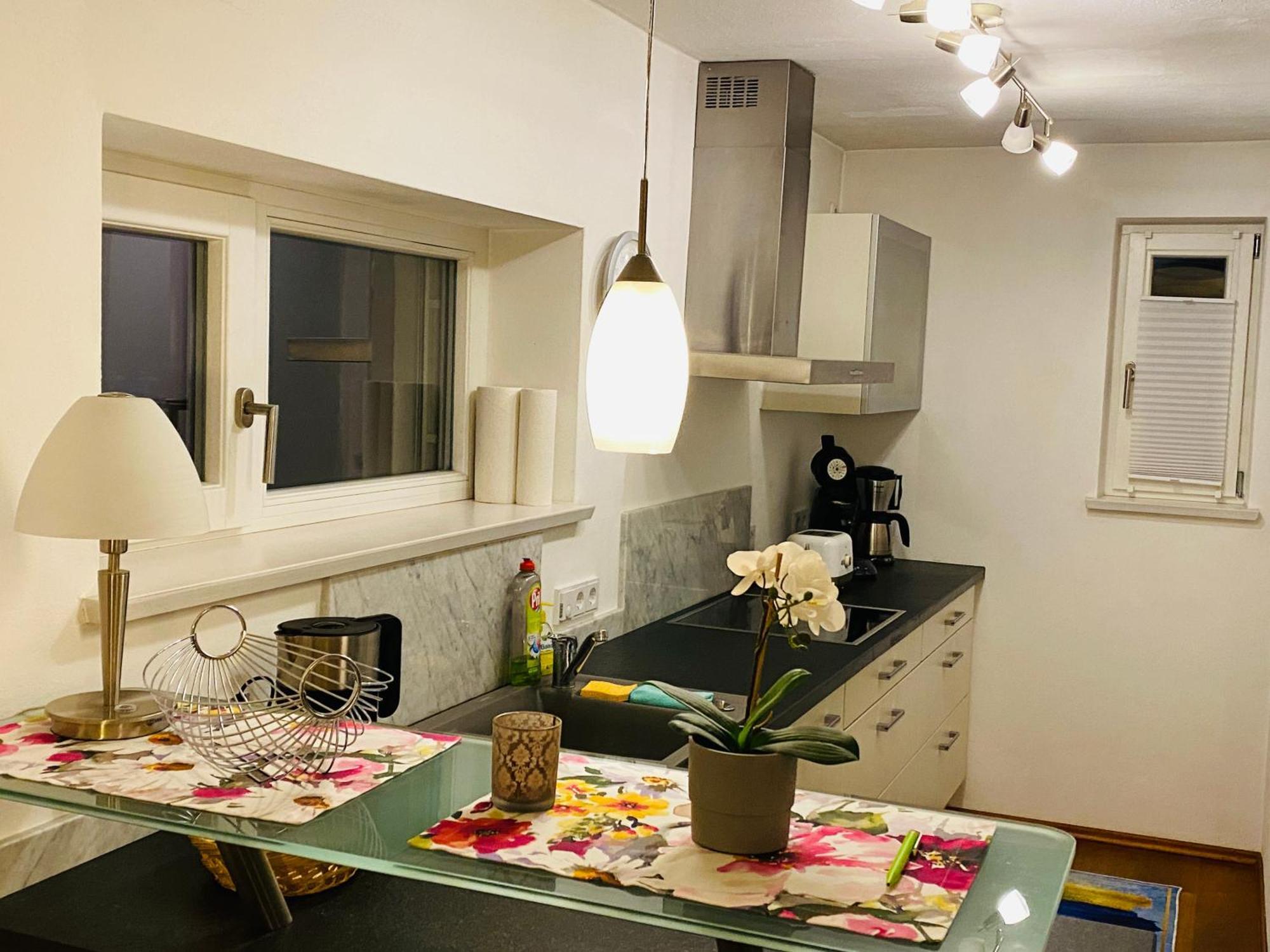 Fewo Luxus Wohnung Im Eigenen Ferienhaus, 120 Qm, Naehe Regensburg Mit Balkon, Terrasse & Garten, Gute Zuganbindung Laaber Exterior foto